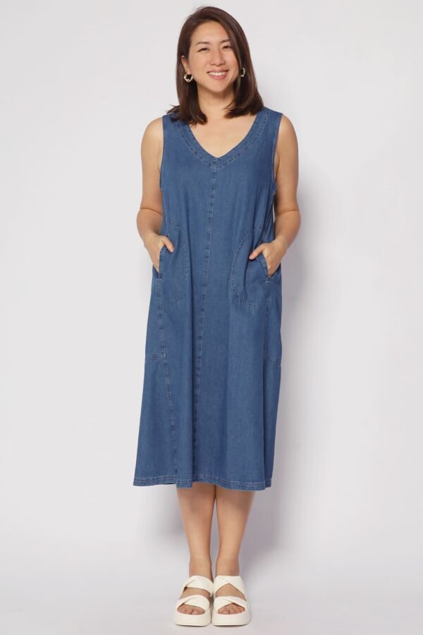 Quincy Denim Dress